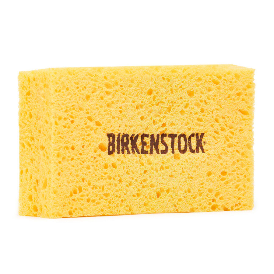 footbed and shoe cleaner with sponge multi